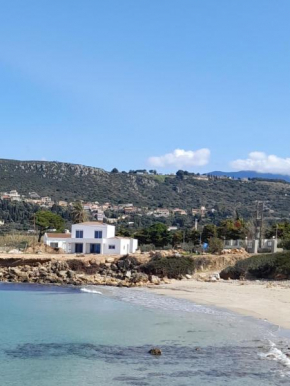 BEACH WHITE VILLAs